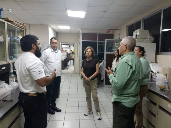 Secihti: Colaboración Interinstitucional Permitirá el Desarrollo y Soberanía Tecnológica de México